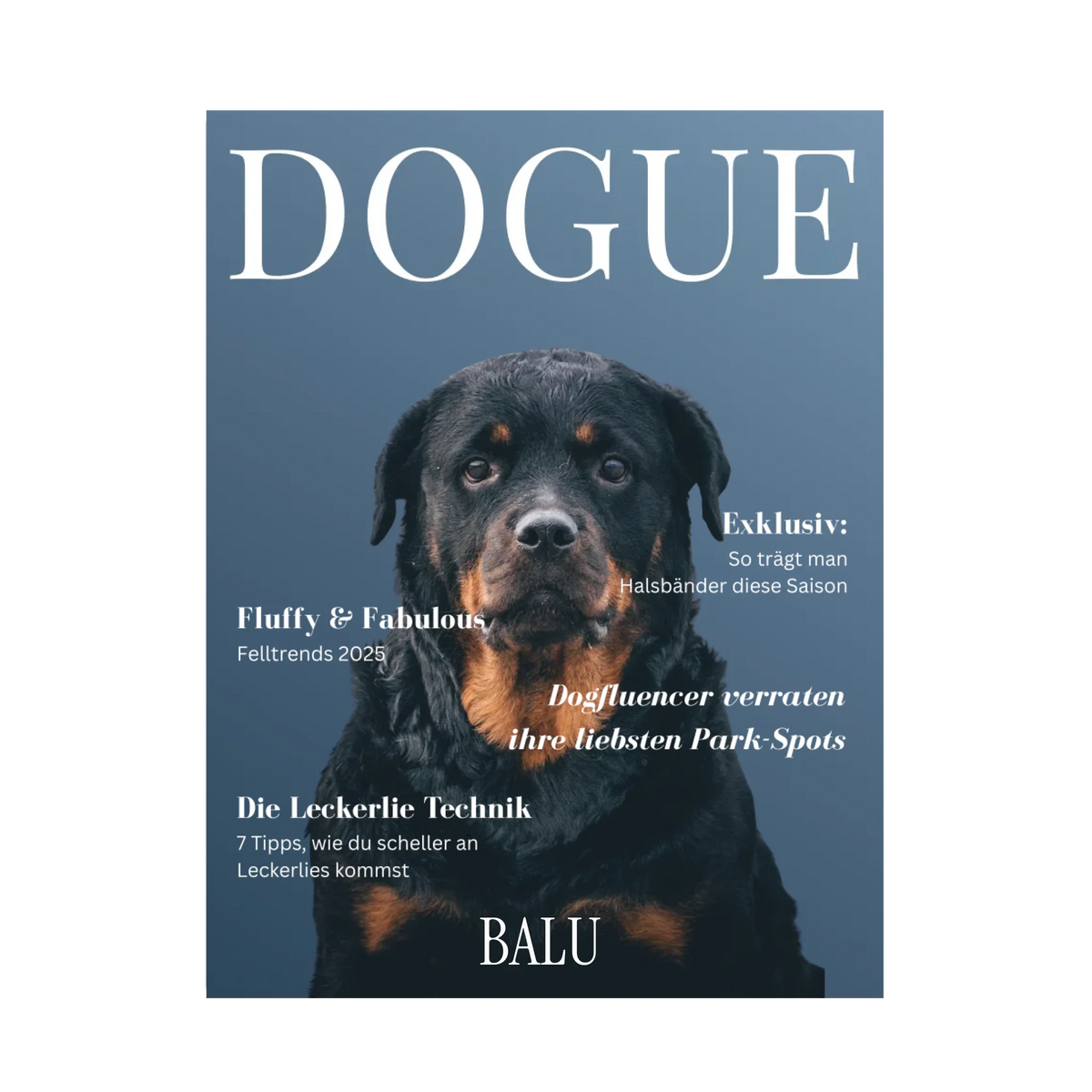 Canva "Dogue Cover Navi" - personalisiert
