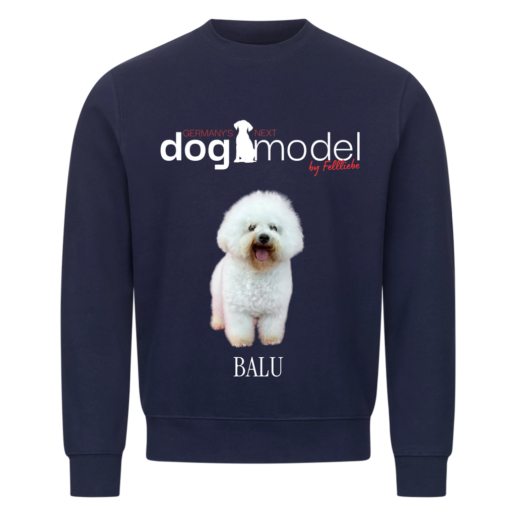 Sweatshirt "Dogmodel" - personalisiert