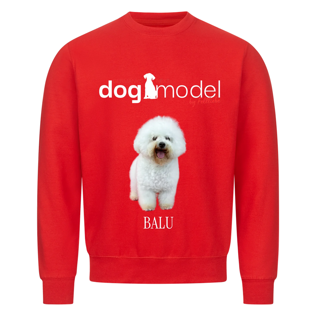 Sweatshirt "Dogmodel" - personalisiert
