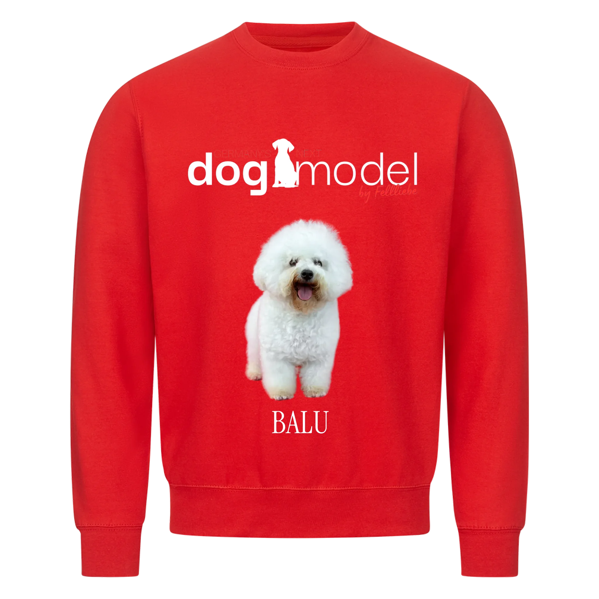 Sweatshirt "Dogmodel" - personalisiert