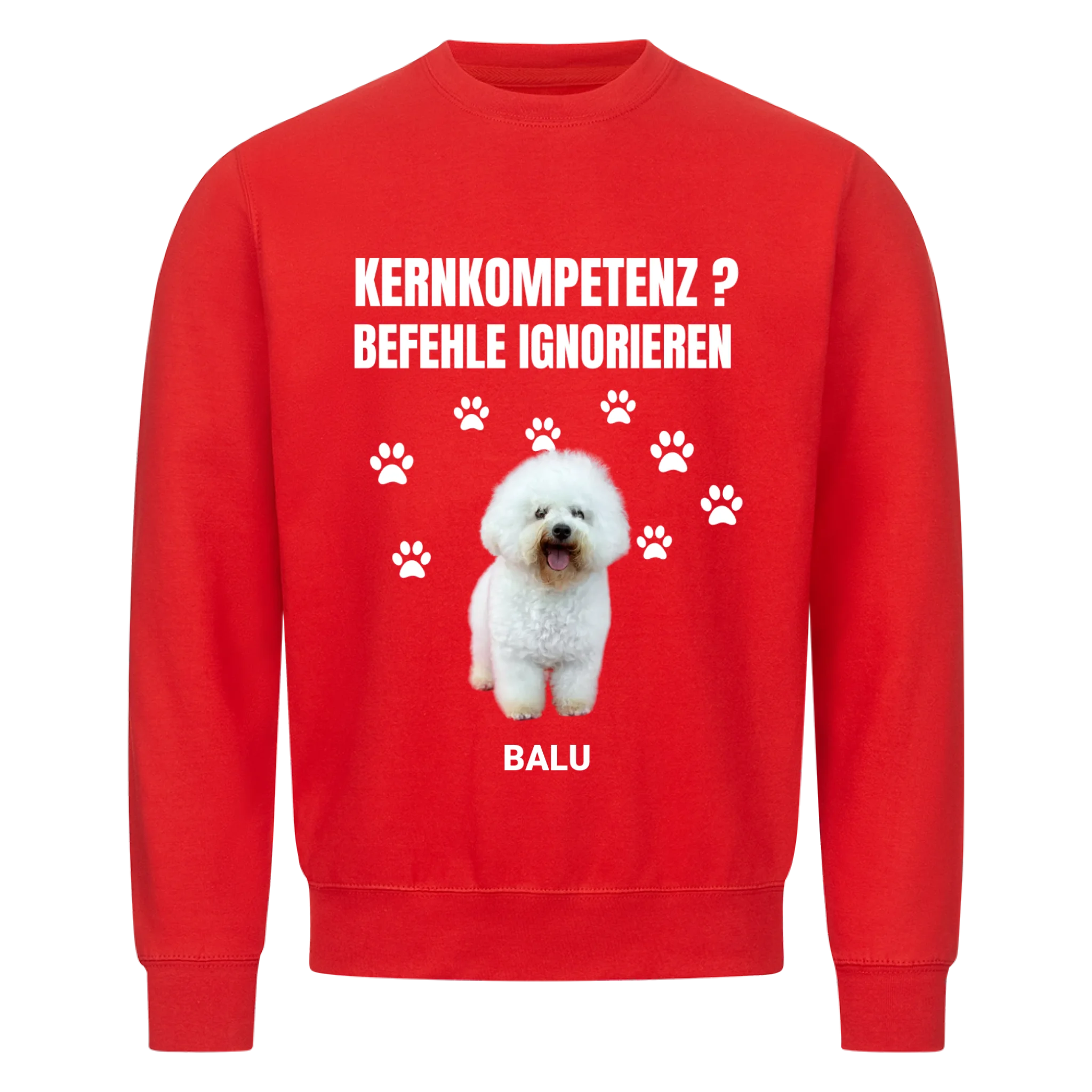 Sweatshirt "Kernkompetenz" - personalisiert